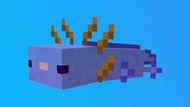 Blue axolotls are the rarest type to breed (Image via Mojang)